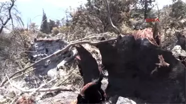 Antalya Kumluca'da Evi Yanan Ailelere Konteyner Evler Teslim Edildi