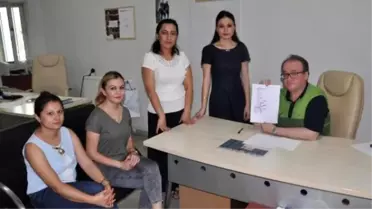 Lys-2 Sınavında Bir Sorunun Açıklanan Cevabı Yanlış İddiası