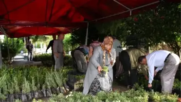 Alanya Belediyesi Mezarlıklarda Ücretsiz Çiçek Dağıtacak