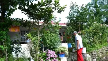 Ordu'da 6 Kişinin Öldüğü Aile Katliamının Fitilini Gelenek Ateşlemiş