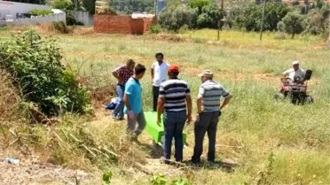 Söke'de Kamyonet Yayaya Çarptı: 1 Ölü