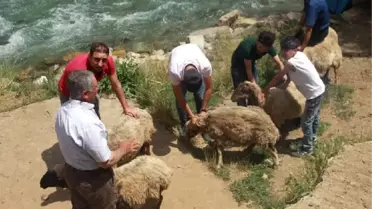 Bahçesaray'da Darbenin Önlenmesi Nedeniyle Kurban Kesilip Dua Edildi