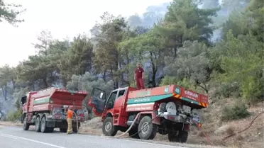 Silifke'de Orman Yangını