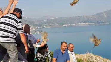 Isparta'da Doğaya 4 Bin Kınalı Keklik Bırakıldı