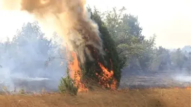 Uzunköprü'deki Orman Yangını