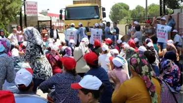 CHP'li Vekillerden Alaşehir'de Grevdeki Üzüm İşçilerine Destek
