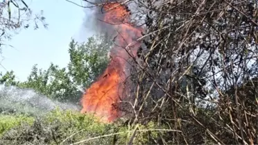 Antalya'da Sazlık Alanda Yangın Çıktı