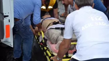 Minibüse Yetişmek İsterken Canından Oldu