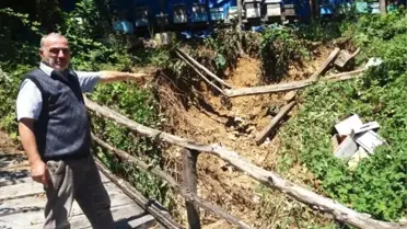 Cide'de Sel, Fındık Üreticilerini ve Arı Yetiştiricilerini Olumsuz Etkiledi