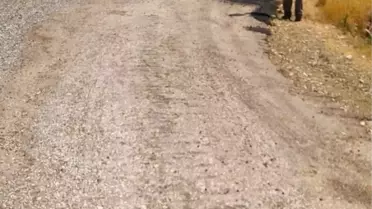 250 Kilometrelik Yolun Bakım ve Onarımları Yapıldı 