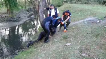 Felent Çayı'na Düşen Şahıs Boğularak Hayatını Kaybetti