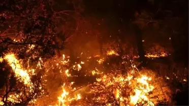Güncelleme - Adana'da Orman Yangını