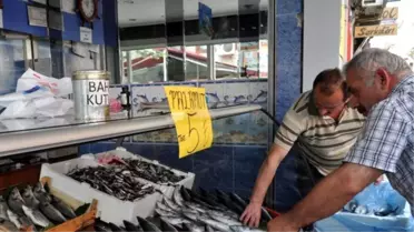 Sezon Öncesinde Palamut Avı Umut Veriyor