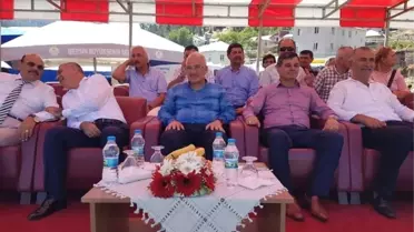 Abanoz Yaylasında Karakucak Güreşleri Coşkusu