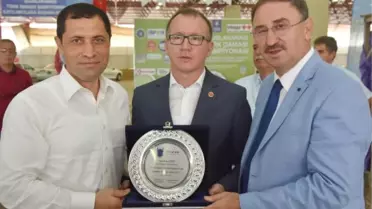 Türk Daması Şampiyonası Başladı