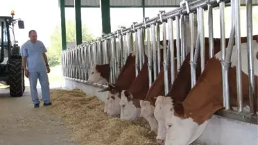Adsyb Tarım Bakanlığı'na 'Desetkeleme' Sistemindeki Endişelerini Dile Getirdi