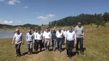 Daday, Eğriceova Yaylasına Sahip Çıktı