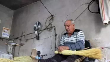 Süpürge Otları Bağlanmaya Başlandı