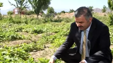 Eski Senatör Çelik Vefat Etti