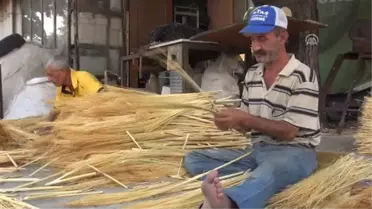 Süpürge Otları Bağlanmaya Başlandı