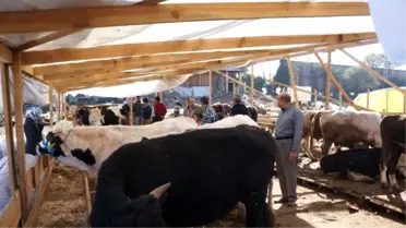 Besiciler Kurban Bayramı'ndan Umutlu