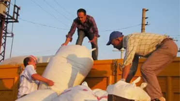 TMO'dan Haşhaş Kapsülü Üreticilerine Nakliye Desteği