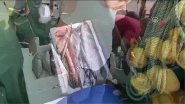 Didim'de Balıkçılar 'Bol Balıkla' Döndü