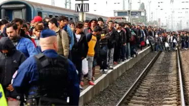 Avrupa'daki Sığınmacı Krizi