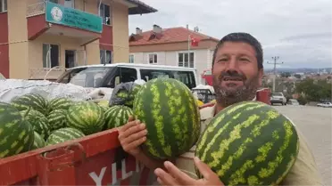 Vezirköprü'de Karpuz Bereketi