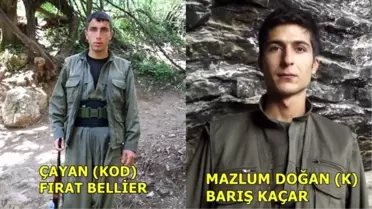 Batman'da Öldürülen Teröristin 'Gri' Listede Olduğu Ortaya Çıktı
