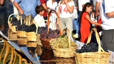 2. Trakya Bağbozumu En Güzel Üzüm Yarışması düzenlendi