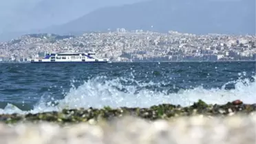 Kent Ormanı 'Fotoğraf Stüdyosu' Oldu