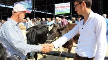 Kurbanlık Seçiminde Püf Noktalar