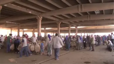 Kurbanlık Tercihi Bölgelere Göre Değişiyor'