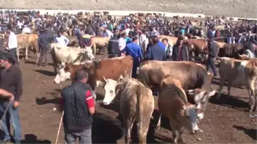 Kurbanlıklara Sevk Öncesi Sıkı Denetim