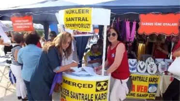 Akkuyu'da Yapılacak Nükleer Santral