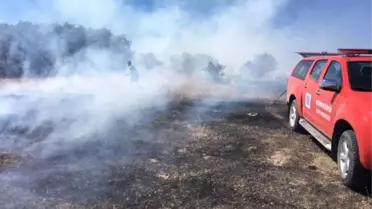 Sarıyaprak Mevkiinde Ki Arazi Yangını Söndürüldü