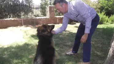 Siyasetin Stresini Toprakla Atıyor