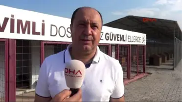 Bilecik2- Sokak Hayvanları İçin Belediye Önünde Açlık Grevi Yapıyorlar