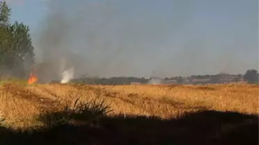Tekirdağ'da 200 Dönüm Anız Yandı