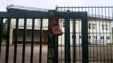 Almanya'da Çirkin Hareket! Camiye Domuz Kafası Astılar