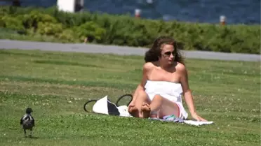 Çekirdek Kabukları Kordon'u Kirletti