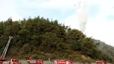 Kemerburgaz'da Ormanlık Alanda Yangın