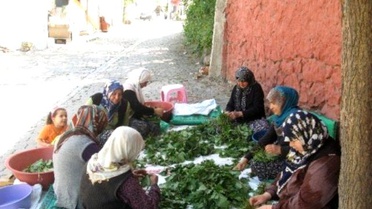Kadınların 'İmece' Usulü Kış Hazırlığı Telaşı