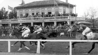 Düzenli At Yarışlarının 160. Yılı Kutlanacak