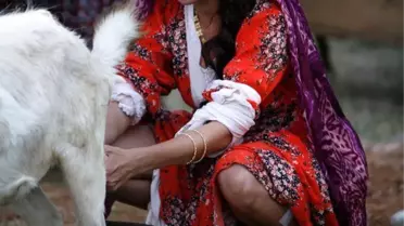 Köylü Kızı olan Songül Öden, İlk kez Süt Sağdı