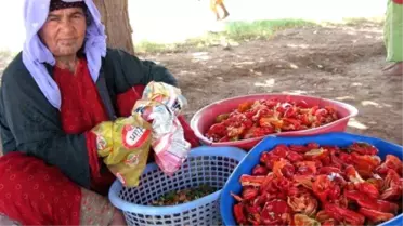Kışa 'Acı' Hazırlık