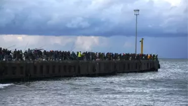 Fatsa İskelesi'nde Çinekop Bereketi