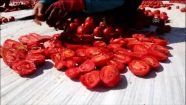 Kurutulan Türk Domatesleri Avrupa Mutfağında