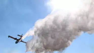 Edremit Körfezi'nde Zeytin Sineğine Karşı İlaçlama Başladı